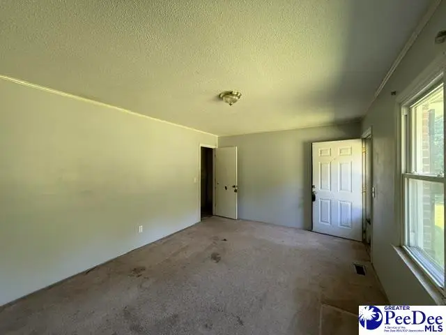 2398 Hotel St, Alcolu, SC 29001 - #3