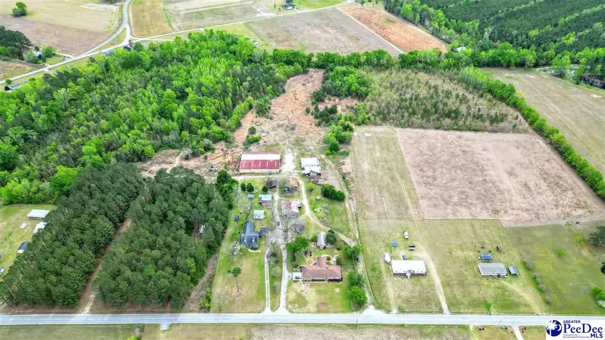 6300 Temperance Hill Rd, Marion, SC 29571 - #1