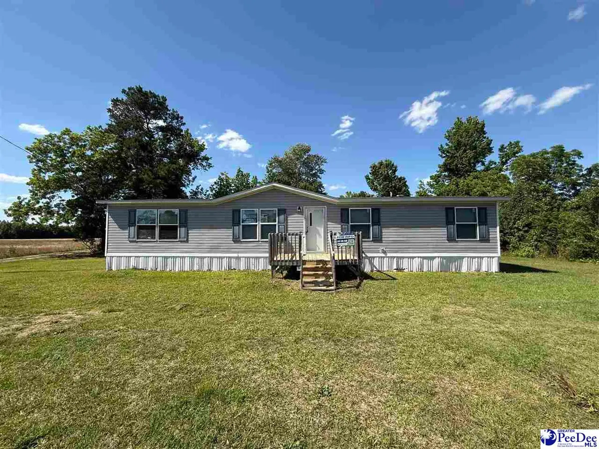4905 Mount Sinai Church Rd, Lynchburg, SC 29080 - #1