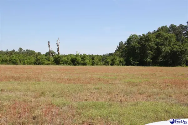 TBD Gallowaytown Road, Hartsville, SC 29550