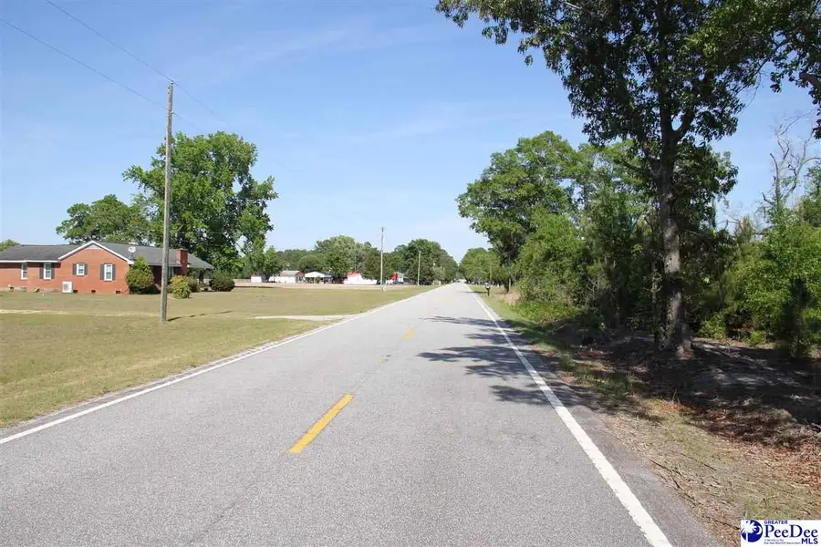 TBD Gallowaytown Road, Hartsville, SC 29550 - #3