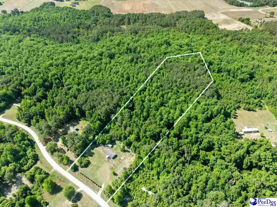 292 Longhorn Lane, Cheraw, SC 29520 - #2