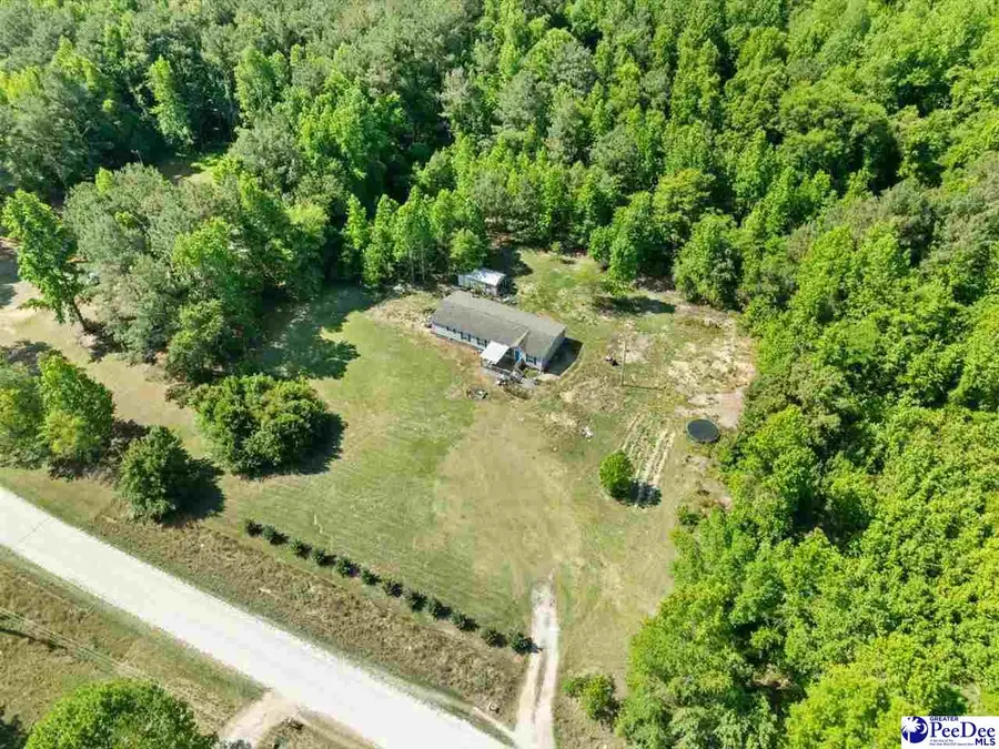 292 Longhorn Lane, Cheraw, SC 29520 - #3