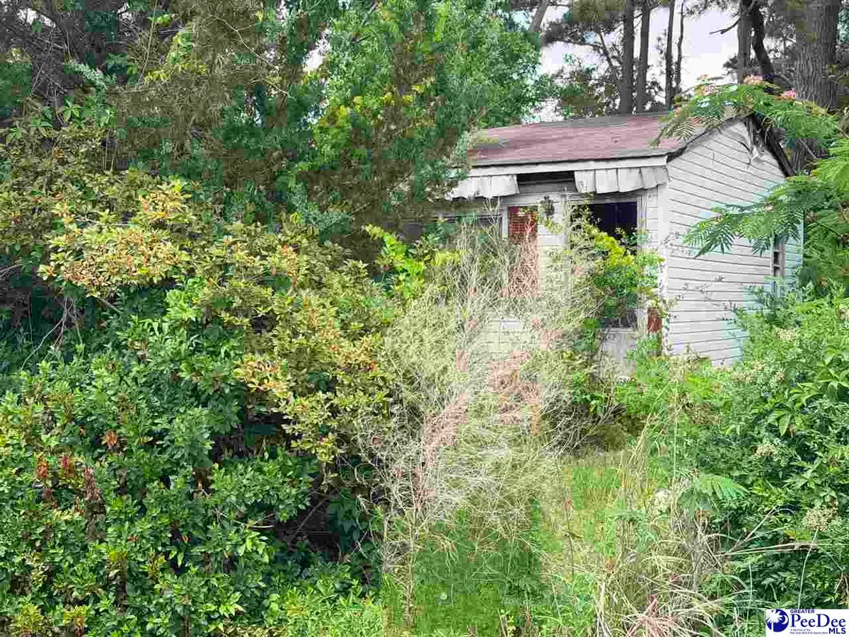 1041 Airport Road, Dillon, SC 29536 - #1