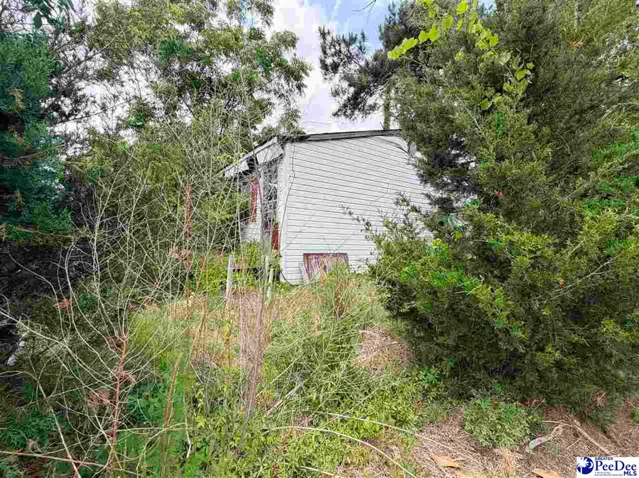 1041 Airport Road, Dillon, SC 29536 - #2