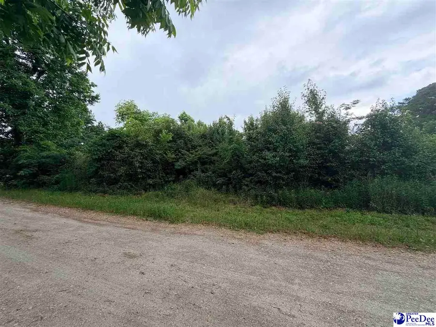 TBD 4th Ave, Lake View, SC 29563 - #2