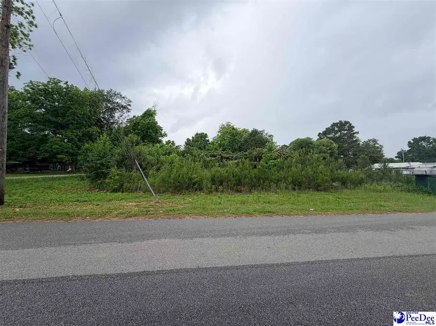 TBD 4th Ave, Lake View, SC 29563 - #3