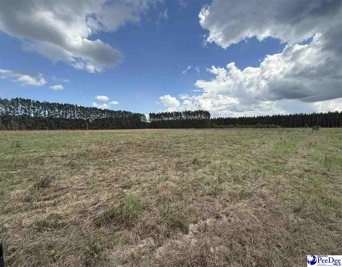 New Farm Rd, Hemingway, SC 29554 - #1