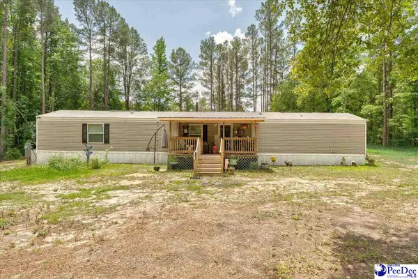127 Branchview Road, Hartsville, SC 29550-0000