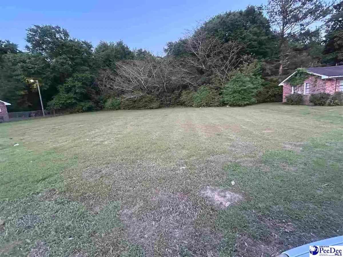 000 Parrish Dr, Mullins, SC 29574 - #1