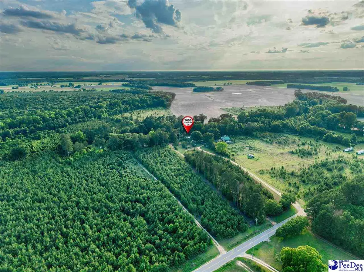 TBA Judson Rd, Little Rock, SC 29567 - #1