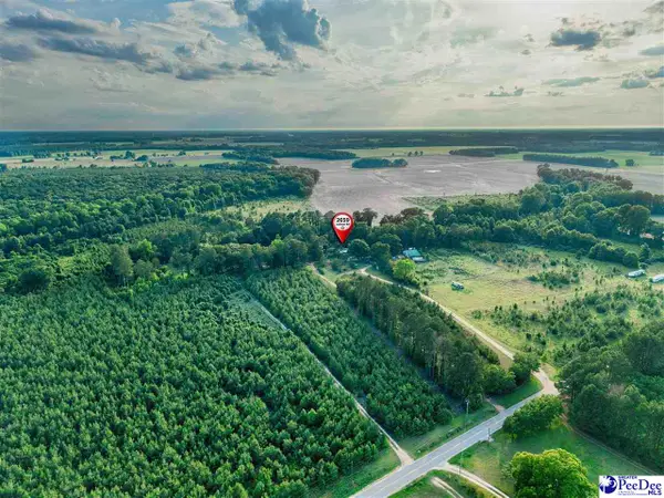 TBA Judson Rd, Little Rock, SC 29567