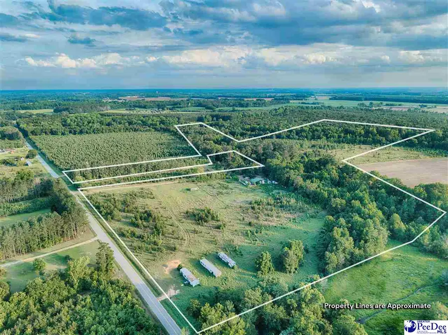 TBA Judson Rd, Little Rock, SC 29567 - #2