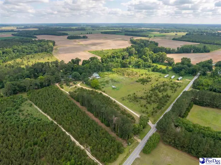 TBA Judson Rd, Little Rock, SC 29567 - #3