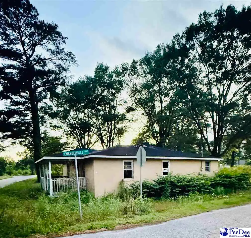 1923 Homelight Rd, Dillon, SC 29536 - #1