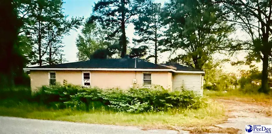 1923 Homelight Rd, Dillon, SC 29536 - #2