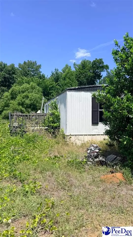 TBA Dillon, Dillon, SC 29536 - #3
