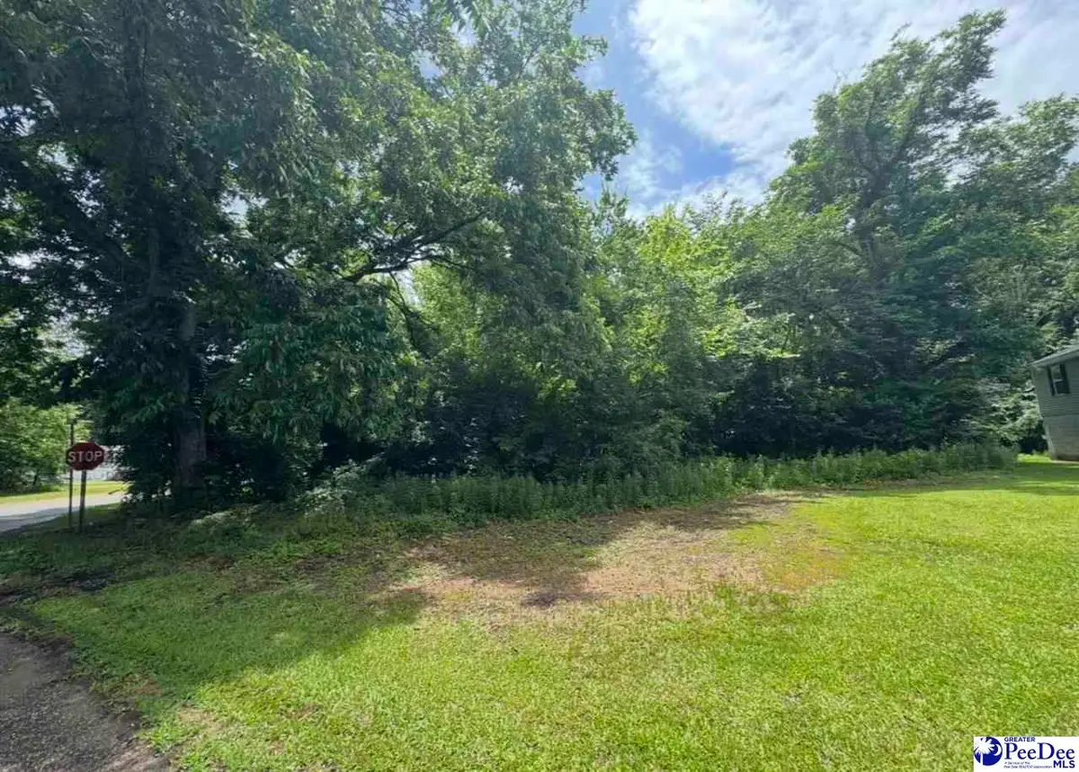 2600 Bank St, Sellers, SC 29592 - #1