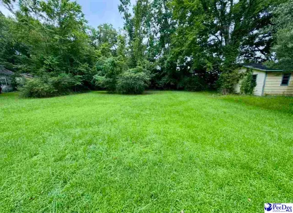 TBD Bank St, Sellers, SC 29592