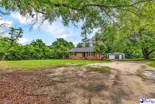 321 Mineral Springs Road, Darlington, SC 29532