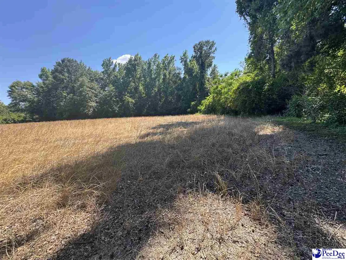 TBD Lum Vereen Rd., Nichols, SC 29581 - #1