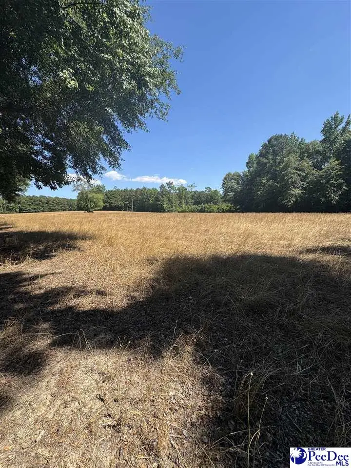 TBD Lum Vereen Rd., Nichols, SC 29581 - #2