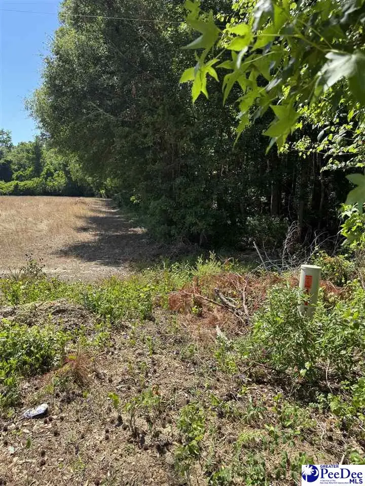 TBD Lum Vereen Rd., Nichols, SC 29581 - #3