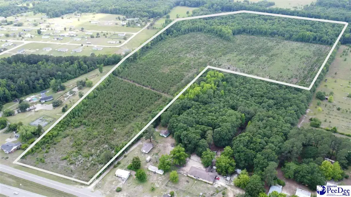 TBD Christmas Farm Rd. +/-56.6ac, Latta, SC 29565 - #1