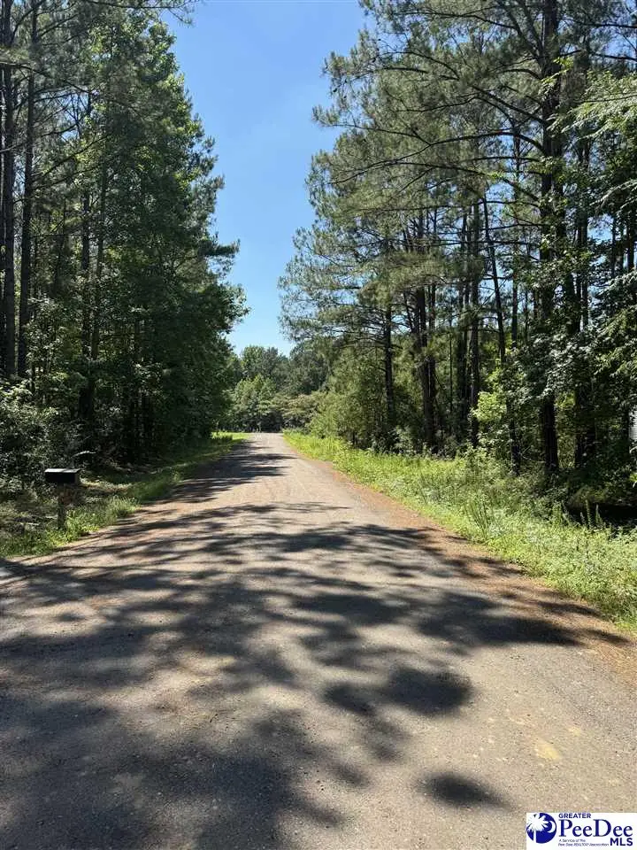 7 Orange Blossom Street (lot 18), Andrews, SC 29510 - #1