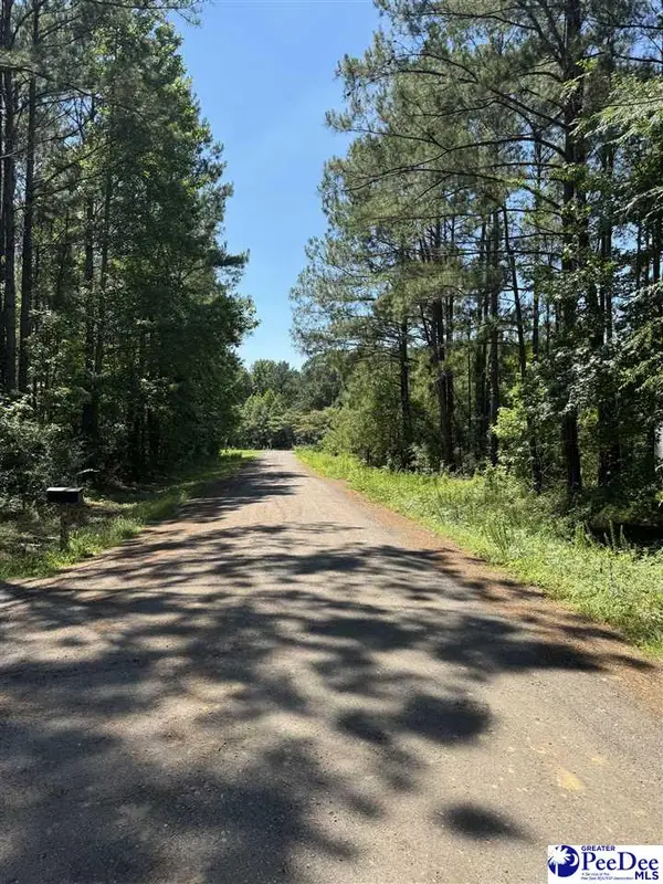 7 Orange Blossom Street (lot 18), Andrews, SC 29510