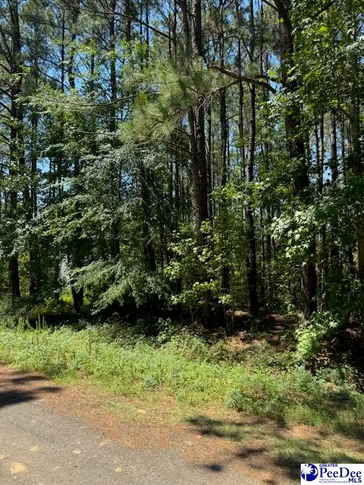 7 Orange Blossom Street (lot 18), Andrews, SC 29510 - #2