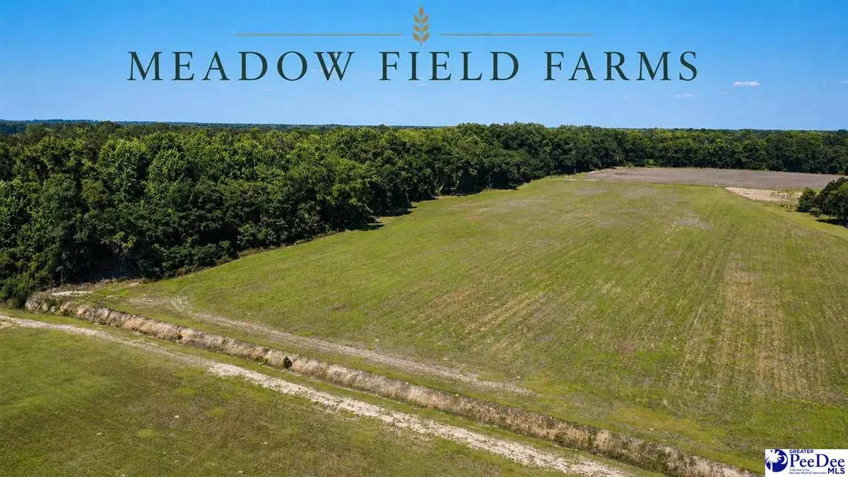 TBD N. Bethel Rd (field), Scranton, SC 29591 - #1