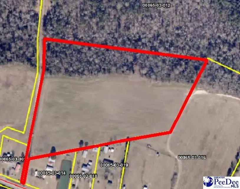 TBD N. Bethel Rd (field), Scranton, SC 29591 - #2