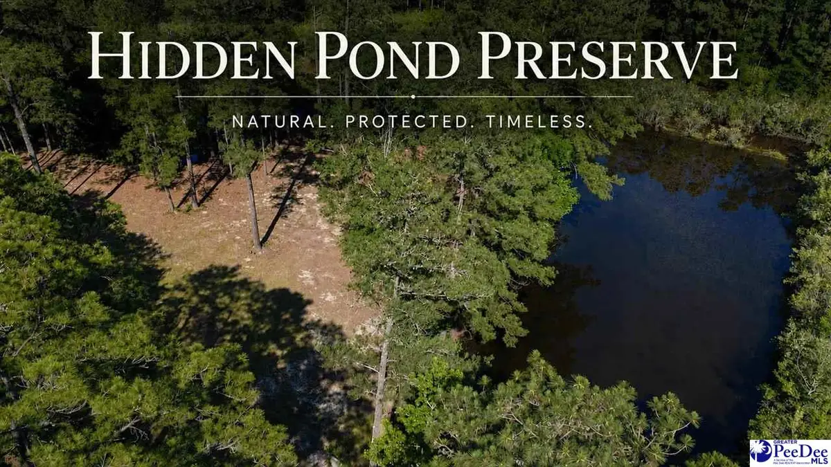 TBD N. Bethel Rd (woods), Scranton, SC 29591 - #1
