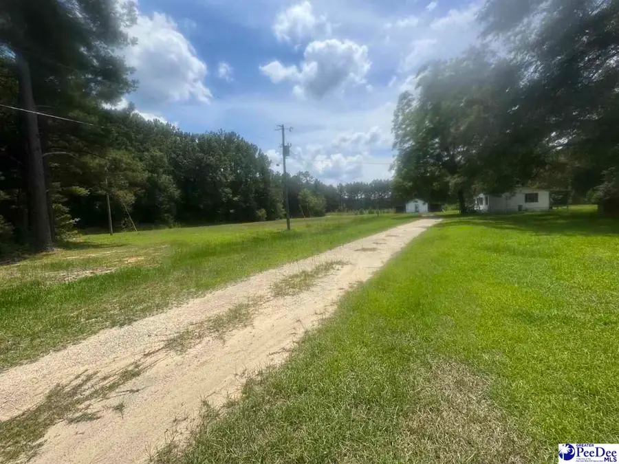 719 1/2 and 721 Ruth Rd, Coward, SC 29530 - #3