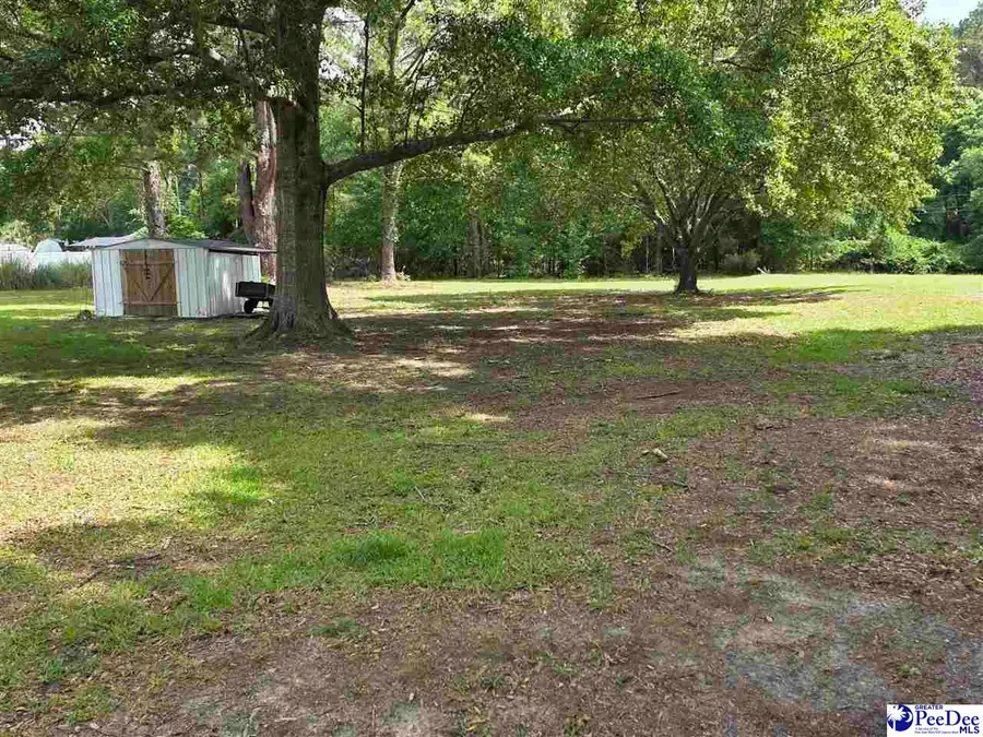 1014 W Main Street, Chesterfield, SC 29709 - #3