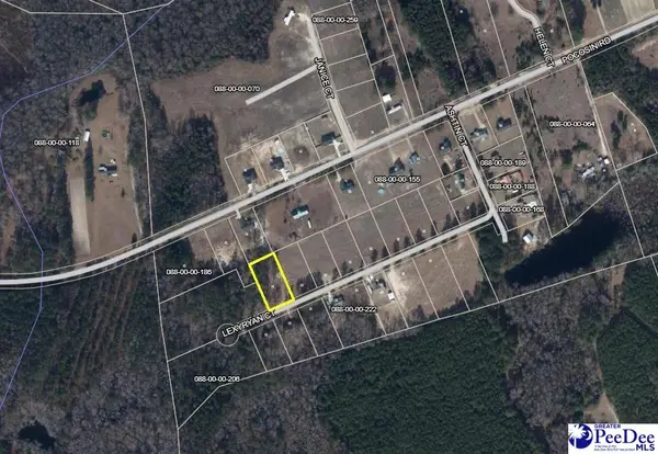304 Lexyryan Court, Latta, SC 29565