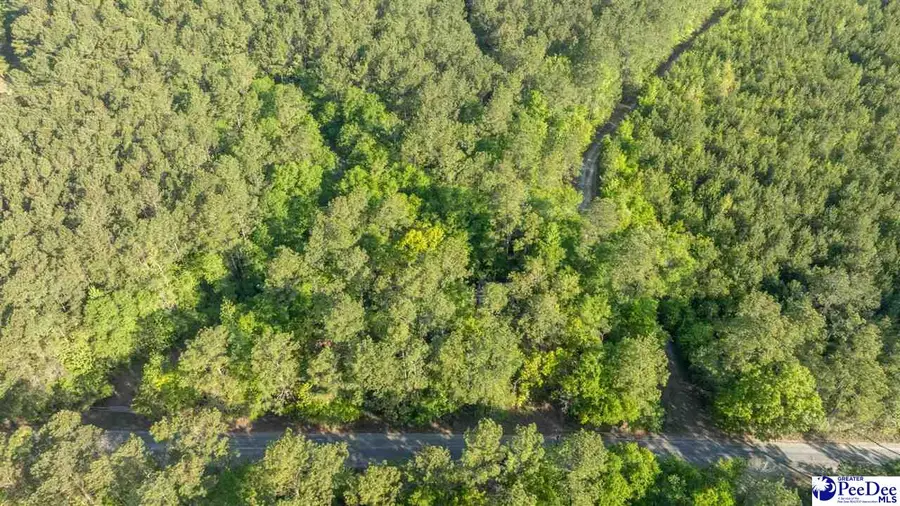 0 Ethridge, Andrews, SC 29510 - #2