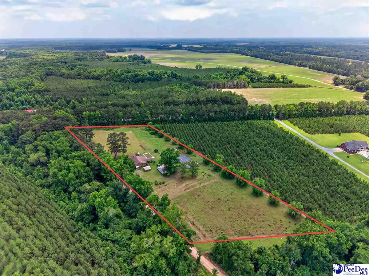 135 Crestview Circle, Timmonsville, SC 29161 - #1