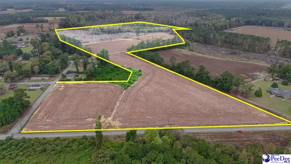 TBD Francis Gibson Rd, Centenary, SC 29519
