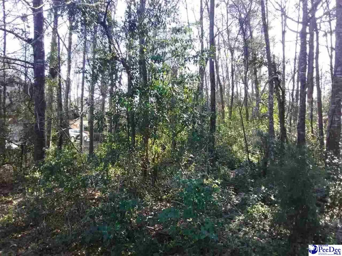 Lot 19 Ora Lane, Chesterfield, SC 29709 - #1