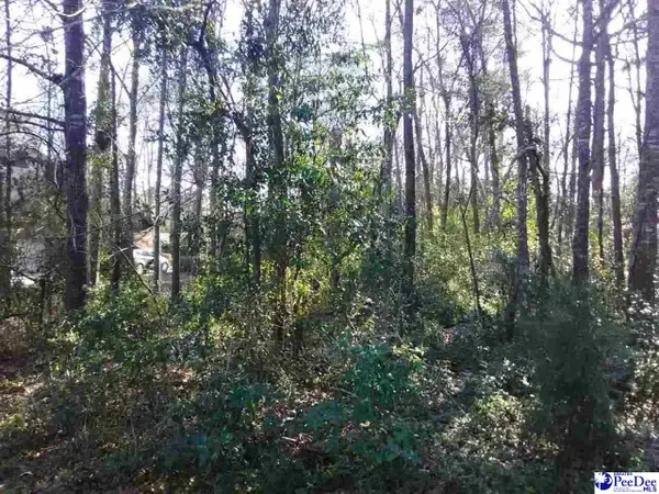 Lot 19 Ora Lane, Chesterfield, SC 29709