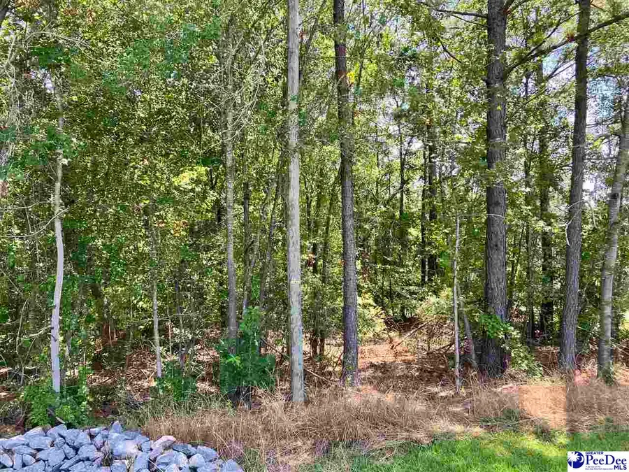 Lot 19 Ora Lane, Chesterfield, SC 29709 - #2