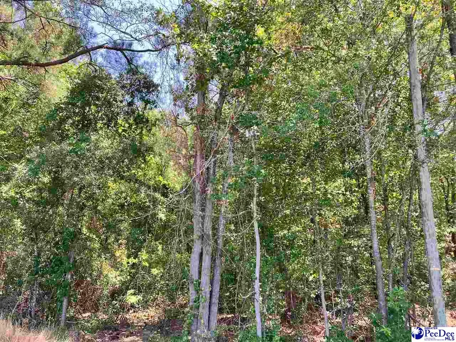 Lot 19 Ora Lane, Chesterfield, SC 29709 - #3