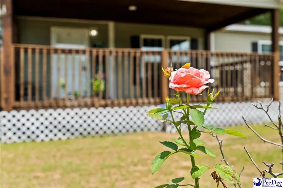 187 Central Place Lane, Pageland, SC 29728 - #2
