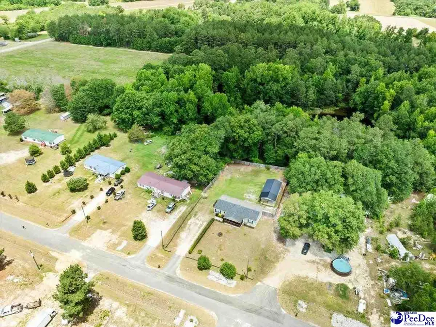 187 Central Place Lane, Pageland, SC 29728 - #3