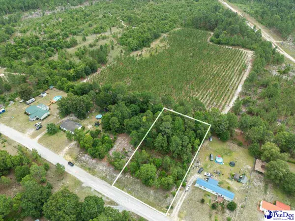 TBD lot 54 Doe Trail, Dillon, SC 29536
