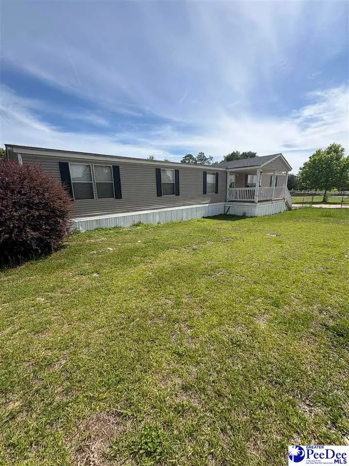 455 Bbb Circle, Patrick, SC 29584 - #2