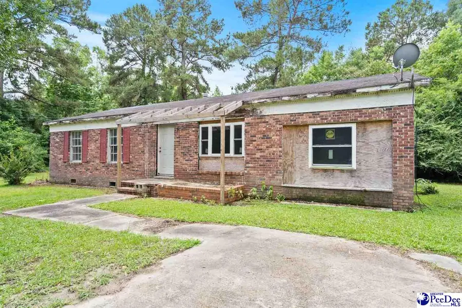 173 Kiwi Rd, Lake City, SC 29560 - #2