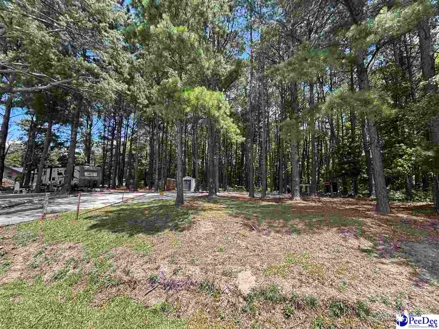 1671 Timmonsville Hwy, Darlington, SC 29532 - #3